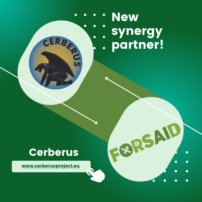 The Cerberus project becomes FORSAID’s latest partner