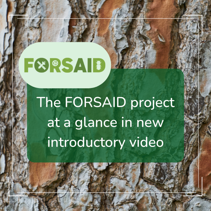 The FORSAID project at a glance in new introductory video