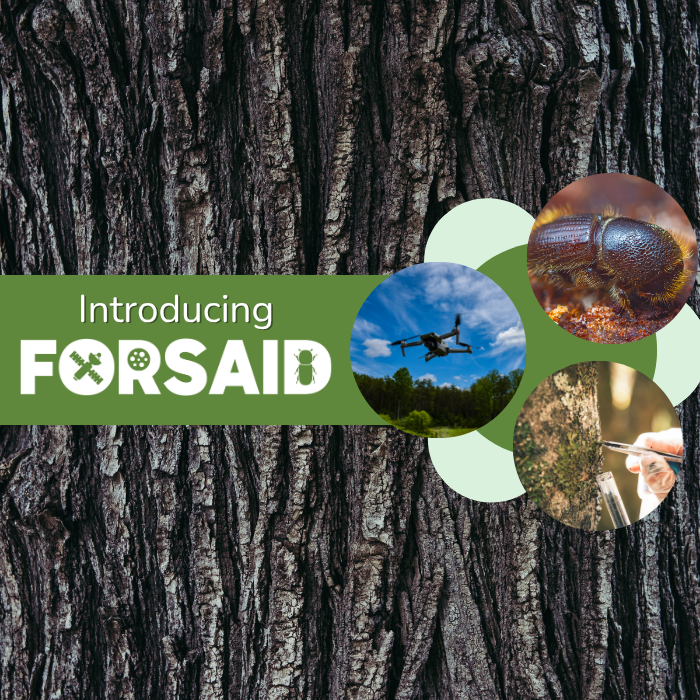 The FORSAID project at a glance in new introductory video