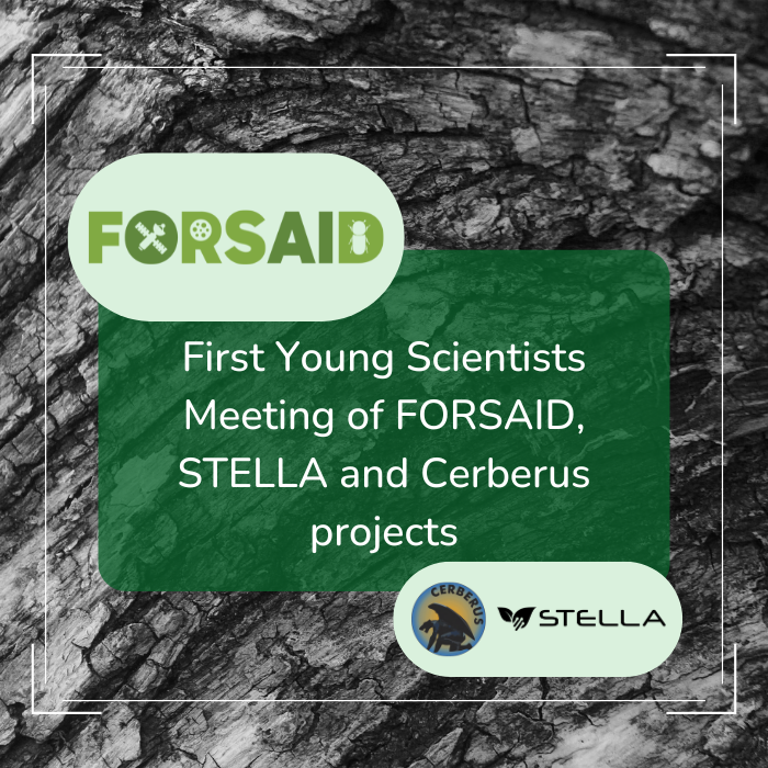 First Young Scientist Meeting of sister projects FORSAID, STELLA and Cerberus