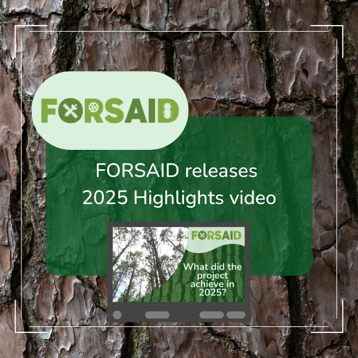 FORSAID releases 2025 highlights video showcasing a year of achievements