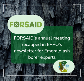 Recap of FORSAID’s annual consortium meeting in EPPO’s newsletter for Emerald ash borer experts