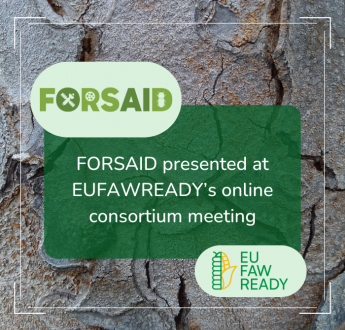FORSAID presented at EUFAWREADY’s consortium meeting