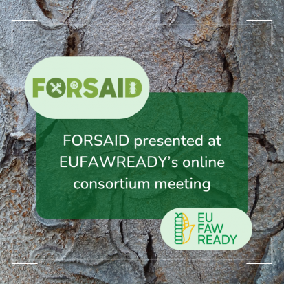 FORSAID presented at EUFAWREADY’s consortium meeting