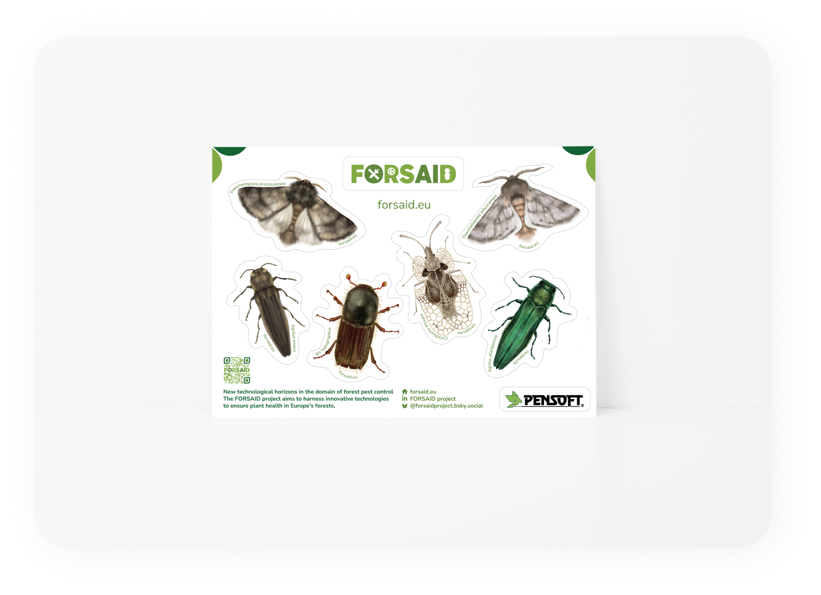 Sticker sheet of target species: Insects preview