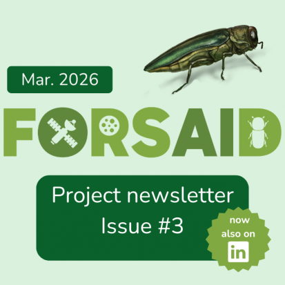 FORSAID’s third newsletter is out - now on LinkedIn as well