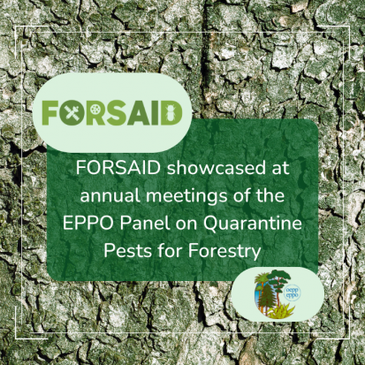 FORSAID showcased at annual meetings of the EPPO Panel on Quarantine Pests for Forestry