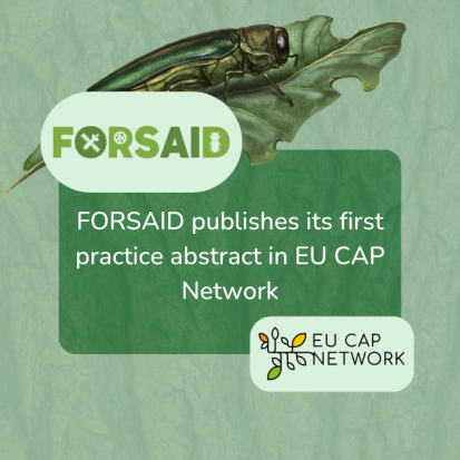 FORSAID publishes its first practice abstract on EU CAP Network