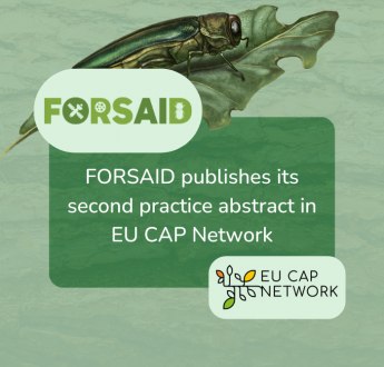 FORSAID highlights stakeholder engagement in second practice abstract on EU CAP Network