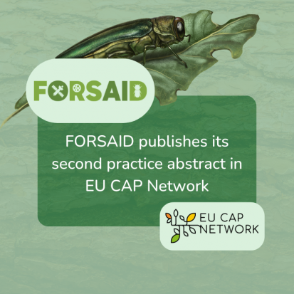 FORSAID highlights stakeholder engagement in second practice abstract on EU CAP Network