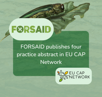 FORSAID publishes four practice abstracts on EU CAP Network