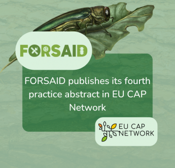 FORSAID promotes drone-based pest detection in fourth practice abstract on EU CAP Network