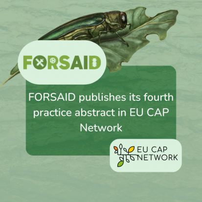 FORSAID promotes drone-based pest detection in fourth practice abstract on EU CAP Network