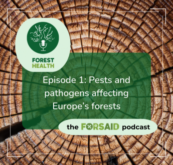 FORSAID launches its official podcast - ForestHealth
