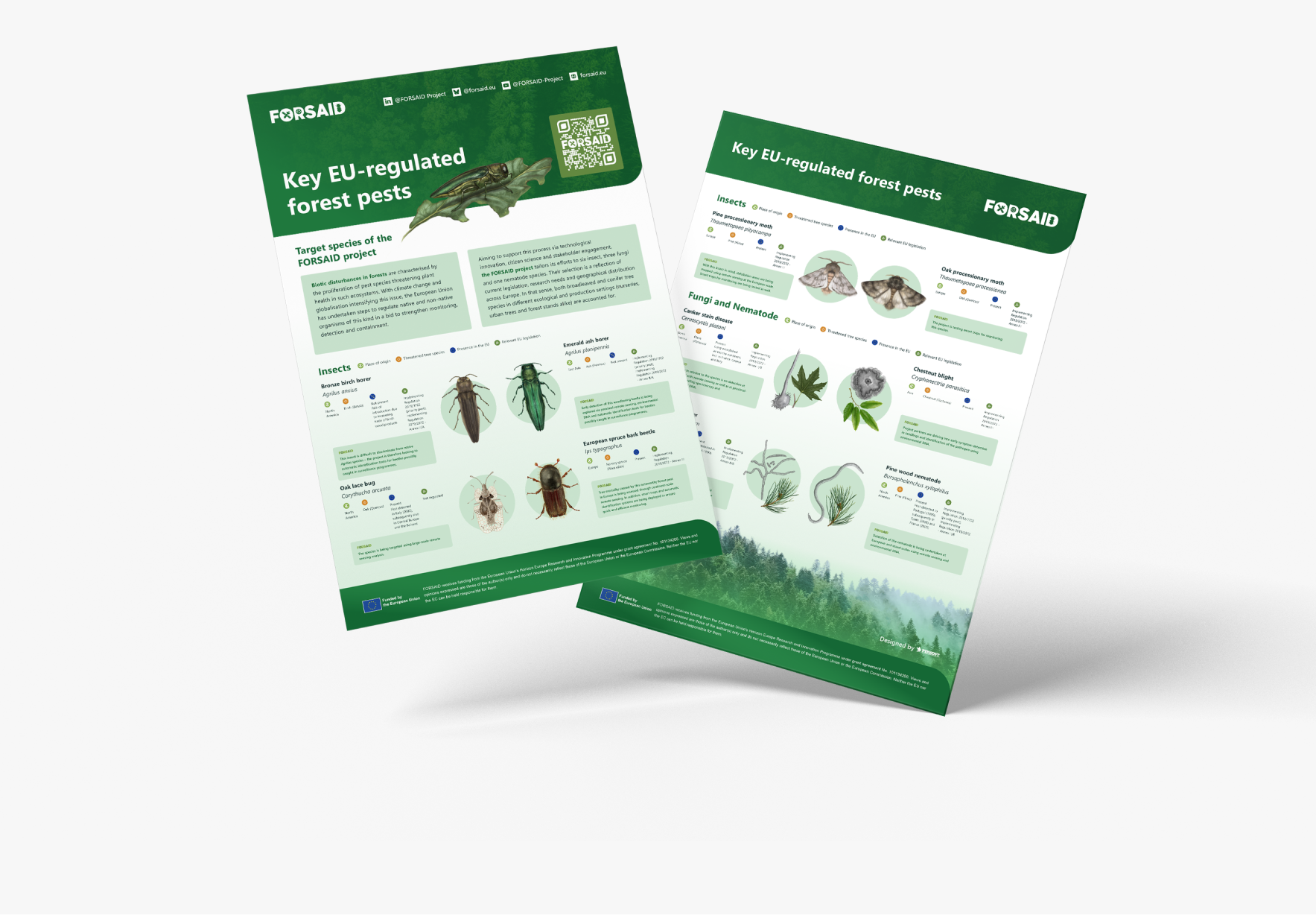 Traget species factsheet preview