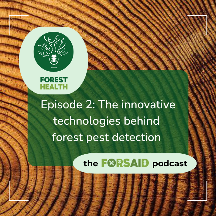 FORSAID’s latest ForestHealth podcast explores innovations in forest pest management