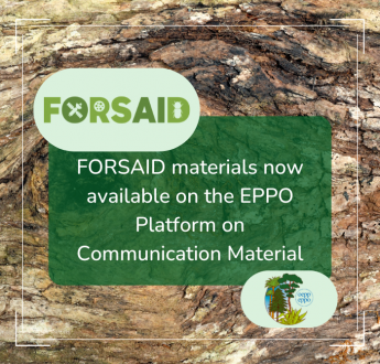 FORSAID materials now available on the EPPO Platform on Communication Material