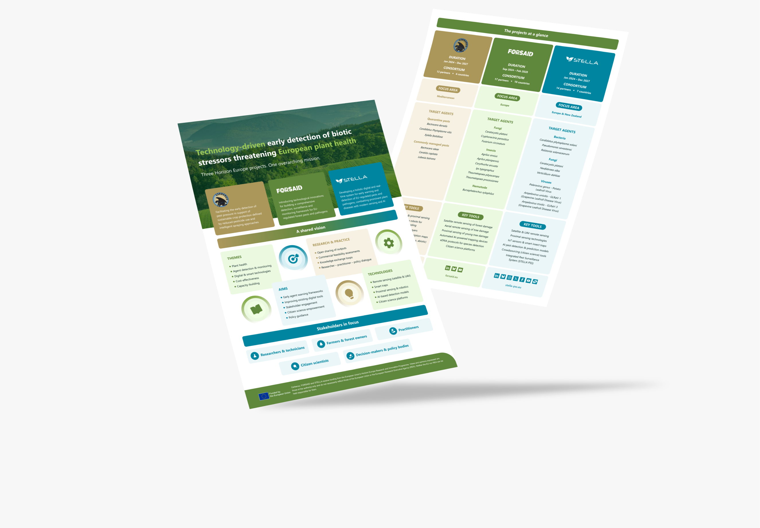 STELLA, CERBERUS and FORSAID joint factsheet preview