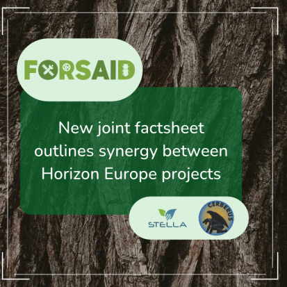 Safeguarding European plant health: New joint factsheet outlines synergy between Horizon Europe projects FORSAID, CERBERUS and STELLA