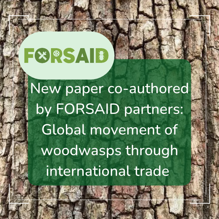 New paper co-authored by FORSAID partners examines woodwasp movement through global trade