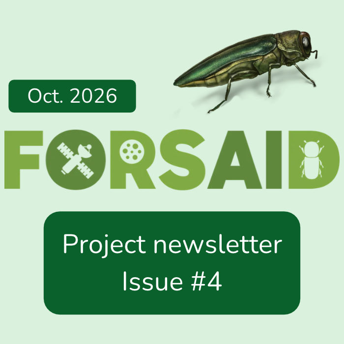 FORSAID's fourth newsletter features the project's first demonstration workshop
